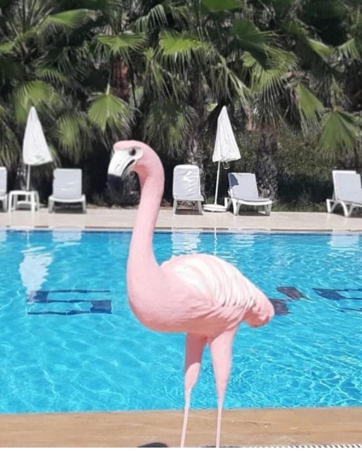 Skys Beach Hotel Manavgat Dış mekan fotoğraf