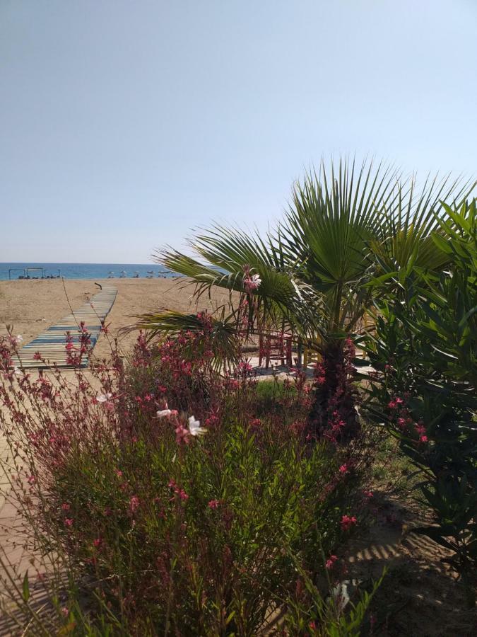 Skys Beach Hotel Manavgat Dış mekan fotoğraf